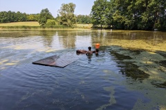 PXL_20230709_090219834