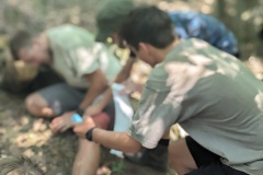 PXL_20230709_095838804.PORTRAIT