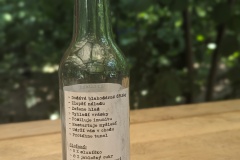 PXL_20230709_113940848.PORTRAIT