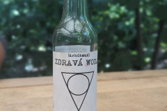 PXL_20230709_113956186.PORTRAIT