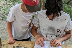 PXL_20230709_142939738.PORTRAIT