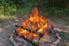 PXL_20230709_163242818