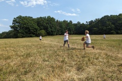 PXL_20230710_143155579