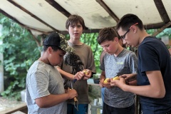 PXL_20230710_153129866.PORTRAIT