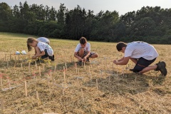 PXL_20230710_161703129