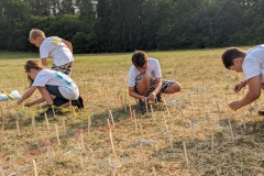 PXL_20230710_161712038.PORTRAIT