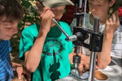 PXL_20230711_091744697.PORTRAIT