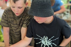 PXL_20230711_134507511.PORTRAIT