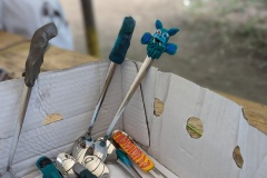 PXL_20230711_145404884.PORTRAIT