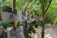 PXL_20230714_090610020