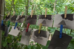 PXL_20230714_090634928