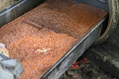 PXL_20230714_093341164.PORTRAIT.ORIGINAL