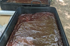 PXL_20230714_110952917