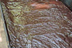 PXL_20230714_111042631.PORTRAIT