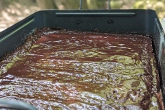 PXL_20230714_111402307.PORTRAIT