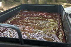 PXL_20230714_111431373.PORTRAIT