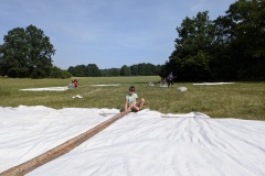 PXL_20240629_143244524