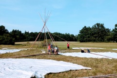 PXL_20240629_151335295-EFFECTS