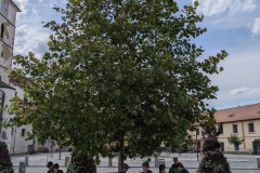 PXL_20240718_135111551