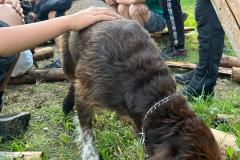 WhatsApp Image 2024-07-24 at 12.51.57(1)