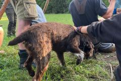 WhatsApp Image 2024-07-24 at 12.51.57(2)