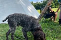 WhatsApp Image 2024-07-24 at 12.51.57(4)