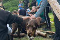 WhatsApp Image 2024-07-24 at 12.51.57