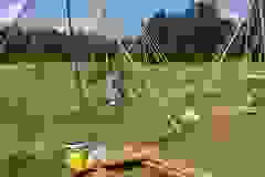 WhatsApp Image 2024-07-24 at 12.53.36(3)