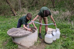 PXL_20220430_093019442