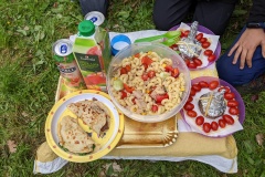 PXL_20220430_104508279