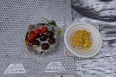 PXL_20220430_105437532