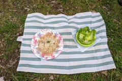 PXL_20220430_105802524