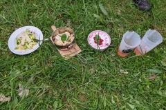 PXL_20220430_110324095