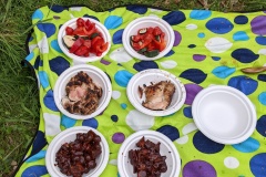 PXL_20220430_111229339