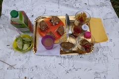 PXL_20220430_112530981