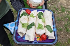 PXL_20220430_113236250