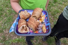 PXL_20220430_113241296