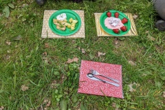 PXL_20220430_113445937