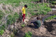 PXL_20220501_101739240