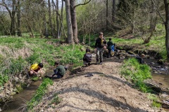 PXL_20220501_101804075