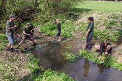 PXL_20220501_102248505