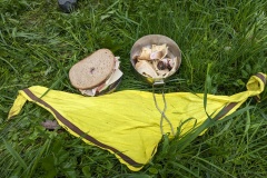 PXL_20240420_085840603