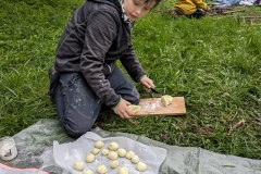 PXL_20240420_091444683