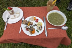 PXL_20240420_113128242