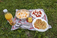 PXL_20240420_113926738