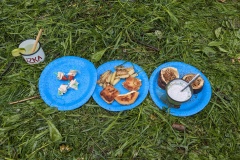 PXL_20240420_115142167