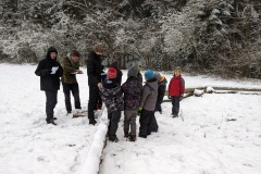 PXL_20211211_081740176