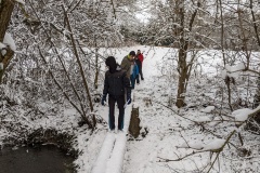 PXL_20211211_091255296