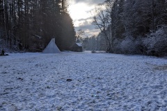 PXL_20211212_083343934