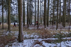 PXL_20221210_144304217